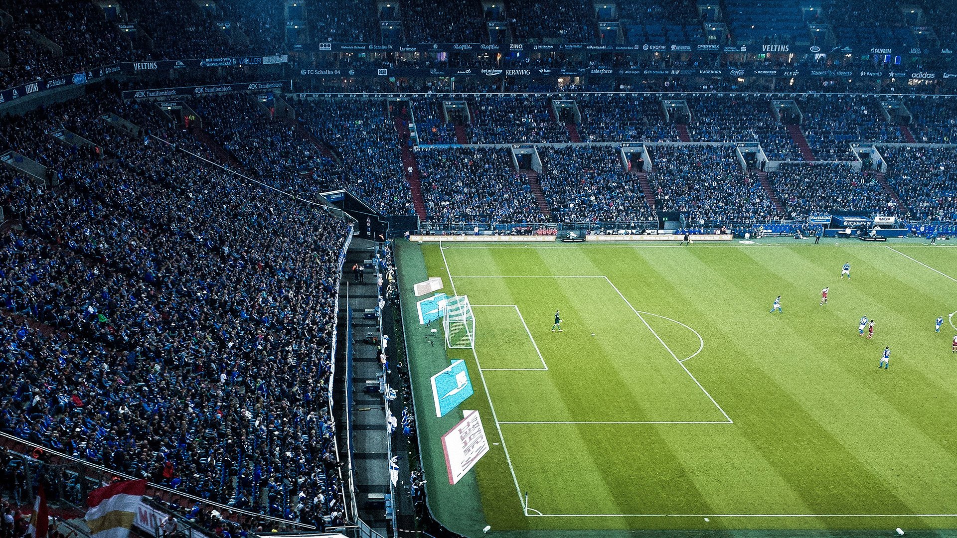 新闻中心开展知识产权保护，知识产权活动新闻稿